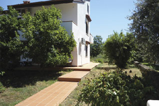 Great Ideas For Your Dinner Table Image